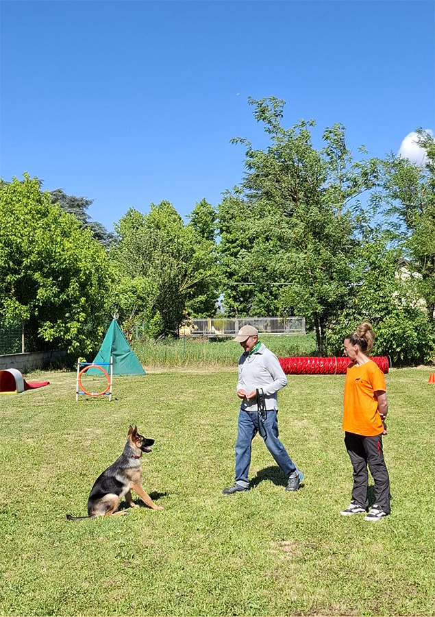 educazione pastore tedesco
